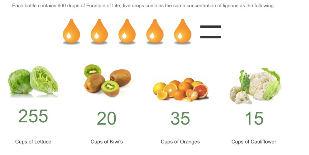 Fountain of Life drops Norwegian Spruce Extract (30 mL)