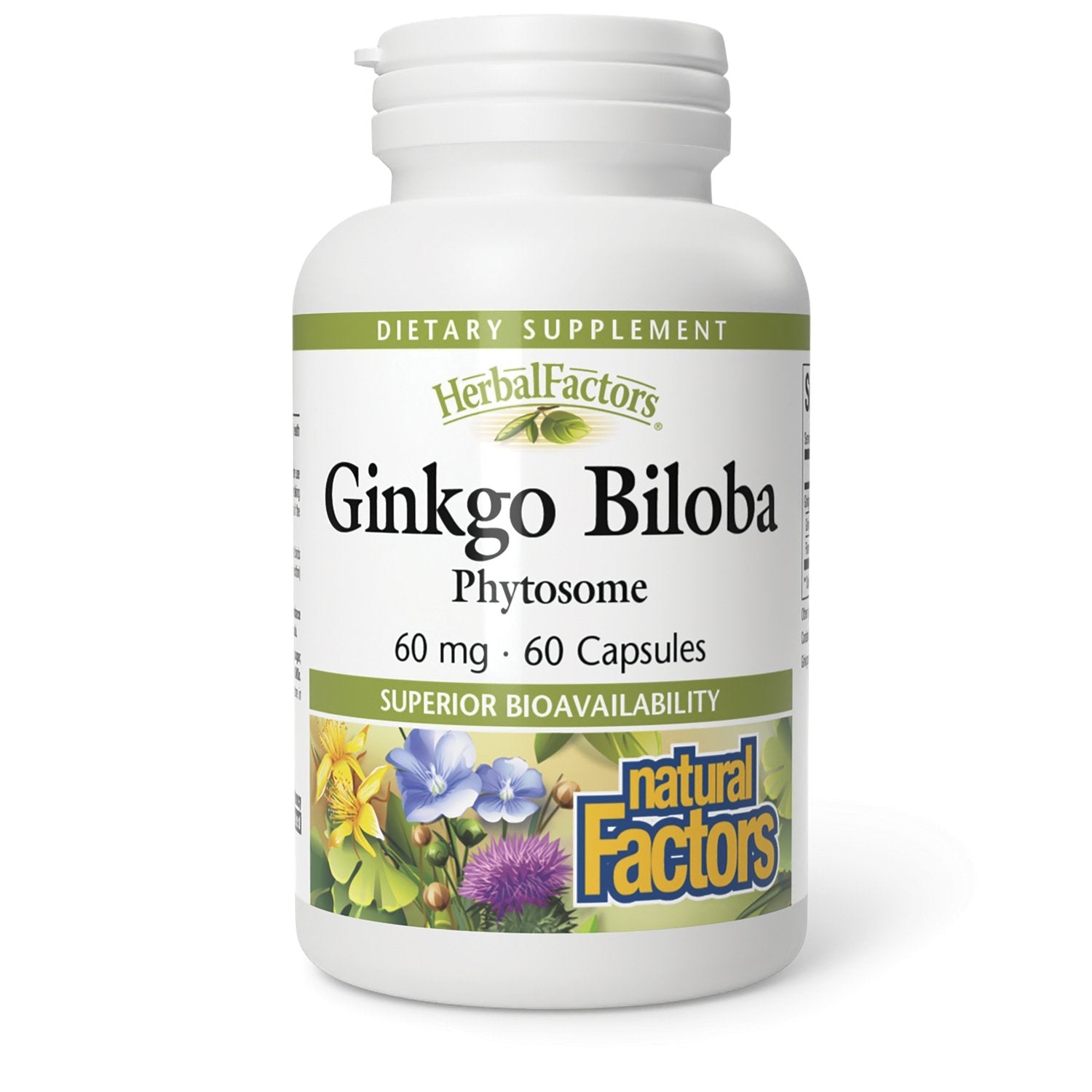 Natural Factors HerbalFactors Ginkgo Biloba Phytosome 60 mg (60 Capsules)