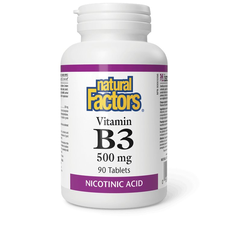 Natural Factors Vitamin B3 500mg (90 Tablets)